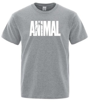 Koszulka, T-shirt, Animal ,r. XL szary