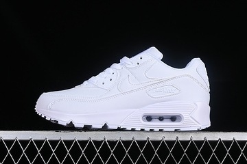 Nike Air Max 90 DQ4071-005 buty męskie 40-45