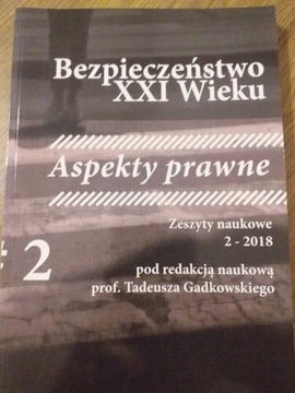 Książka bezpieczeństwo XXI wieku 2018