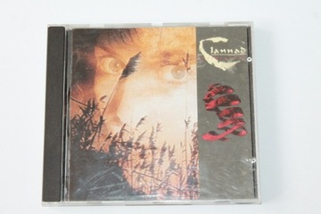 Płyta CD Clannad Past Present