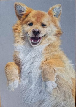 Obraz portret Twojego psa kota zwierzęta A4