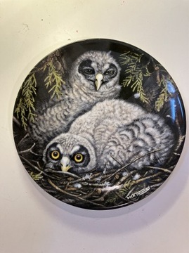 talerz sowy ptaki WEDGWOOD geeat grey owl chicks