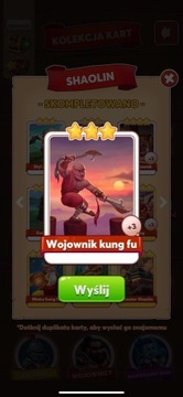 Wojownik kung fu COIN MASTER KARTA