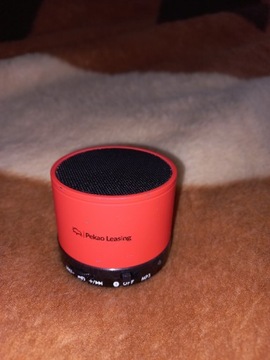 Głośniki Bluetooth 