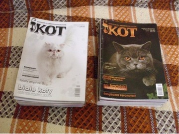 Kot - czasopismo, magazyn