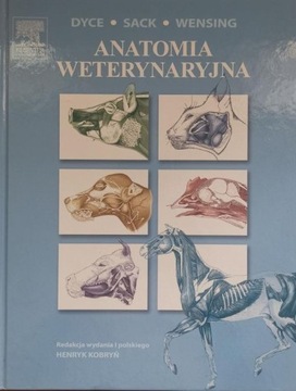weterynaria - anatomia