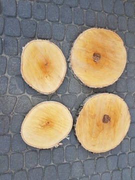 Plastry drewniane patyki gałązki pieńki brzozowe