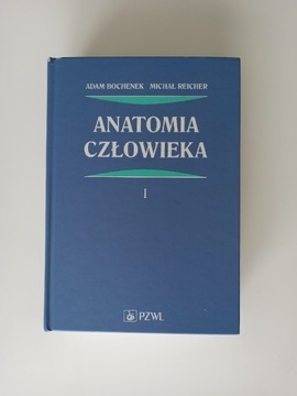 Podręcznik Anatomia Człowieka Bochenek