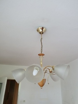 Lampa wisząca 5 kloszy złote elementy klasyka 