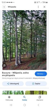 Drzewo kominkowe - opałowe.  DĄB BUK BRZOZA .