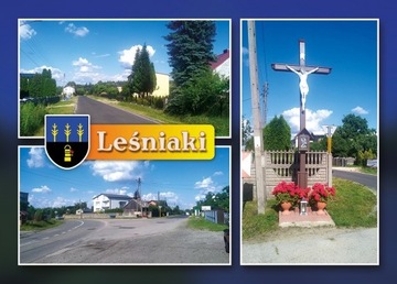Leśniaki, gmina Konopiska