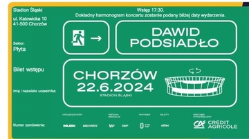 Dawid Podsiadło Chorzów 22.06.2024, Płyta