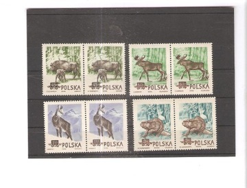 POLSKA  1954  r. Fi 743 - 46  B   w parce