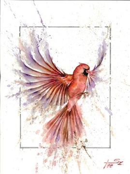 Obraz plakat akwarela ptak 30x40