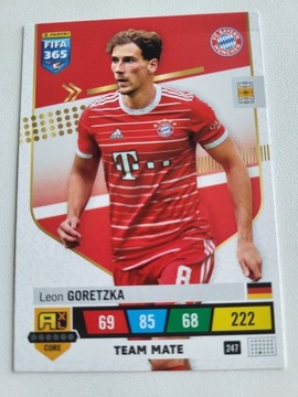 FIFA 365 2023 TEAM MATE 247 GORETZKA