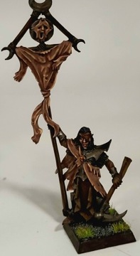 Warhammer Dark Elves - Command Standard Bearer