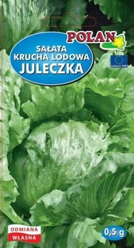 SAŁATA LODOWA "JULECZKA"-KRUCHA- POLAN