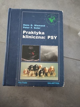 Praktyka kliniczna: Psy galaktyka