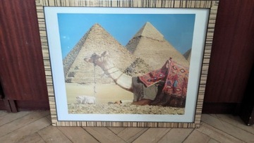 Obraz w ramie wielbłąd piramidy Egipt Giza 
