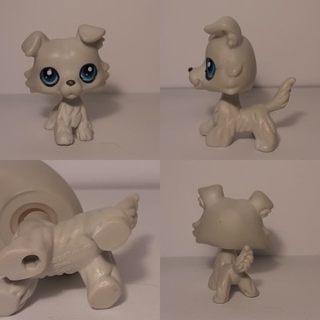 Littlest Pet Shop LPS Border Collie