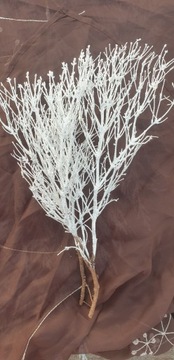 Naturalne Gałązki dekoracyjne białe pęczek35-40cm 