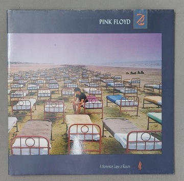 Pink Floyd   A Momentary Lapse Of Reason EX 