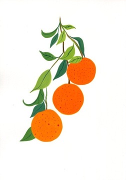 Gałązka pomarańczy - Gwasz, A4