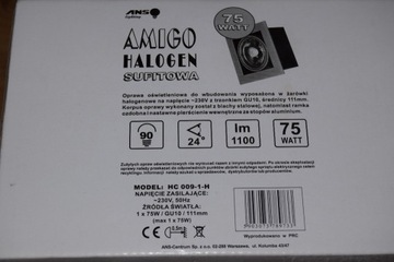 Oprawa sufitowa AMIGO Halogen 1x75W ANS lampa 