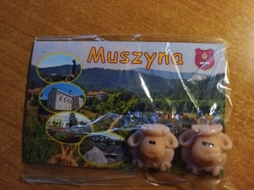 [unikat]Muszyna-Magnes.Nowy-Zobacz!