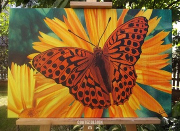 Obraz Motyl 40x60cm akryl