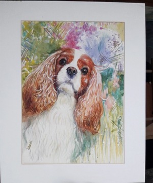 Portret psa Cavalier kolorowe tło A3 Prezent 