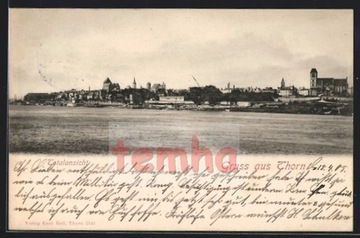 TORUŃ Thorn piękna panorama znad Wisły 1905