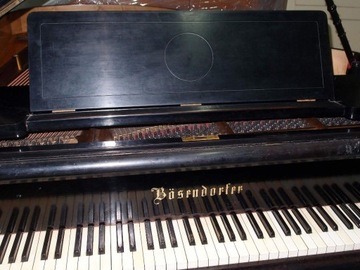   Bosendorfer 173 cm 