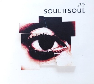 Soul II Soul Joy  (5)