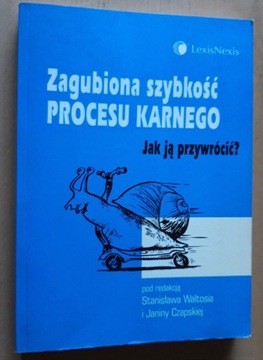 Zagubiona szybkość procesu karnego 