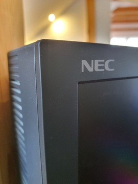 NEC PA 301W Spectra View