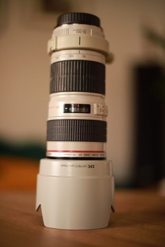 Tulipan, lens hood do 70-200L 1:4 USM. Canon ET-74