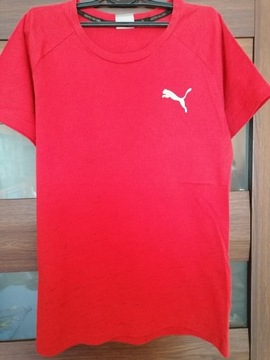 T-shirt PUMA męski 