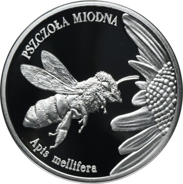 20 złotych Pszczoła Miodowa 2015