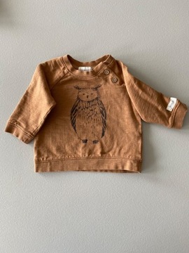 Brązowa bluza niemowlęca z nadrukiem sowy, Newbie