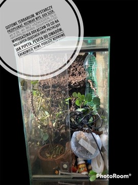 Terrarium kameleon ekstra dodatki