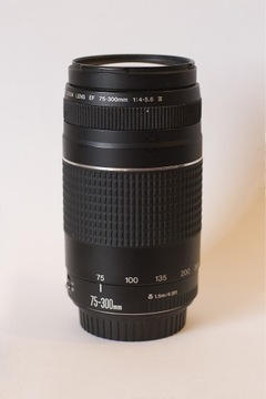 Teleobiektyw zoom Canon EF 75-300mm f/4-5.6