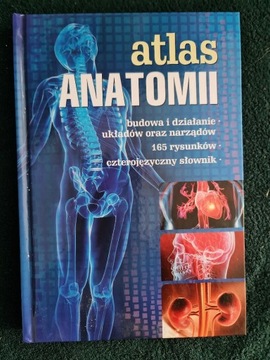 Atlas anatomii Justyna Mazurek