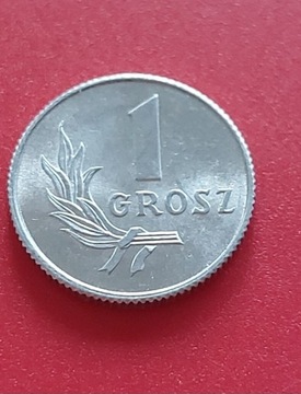 Moneta 1 grosz 1949 r. Al.  