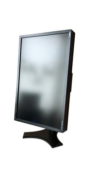 Monitor NEC MultiSync P221W