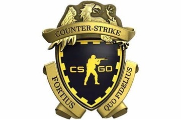 CS GO CS2 CS 2 | KONTO | PRIME |  NA WŁASNOŚĆ  