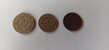 5, 20, 50 Groszy 1923 RP 