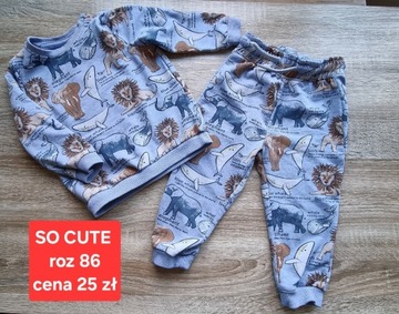 Komplet dresowy bluza spodnie zwierzęta dres lew