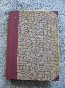 Zagubiona przeszłość Borun  Trepka  wydanie 1957 r
