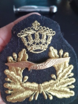 Odznaka wojskowa, przypinka wojsk lotniczych